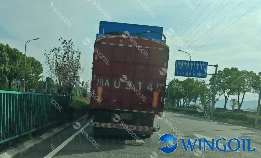 deliver mutiphase pump system