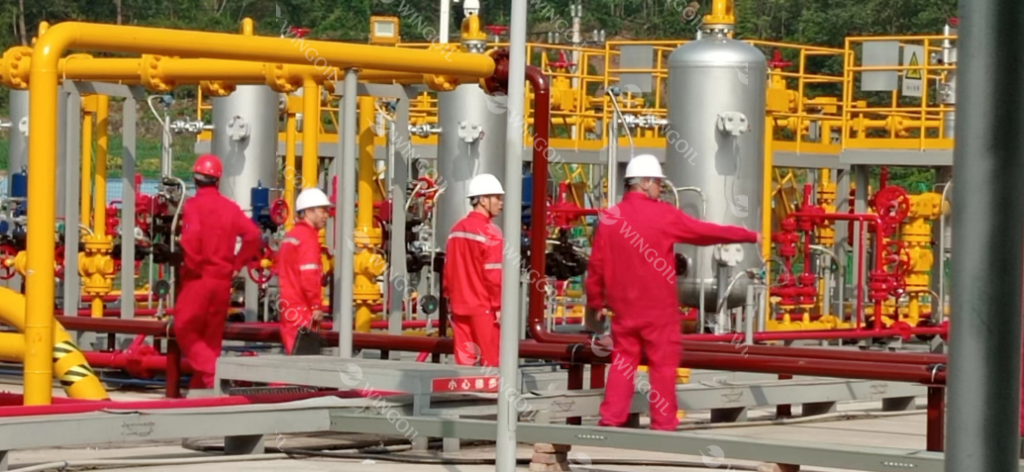 multiphase pump system on site process review