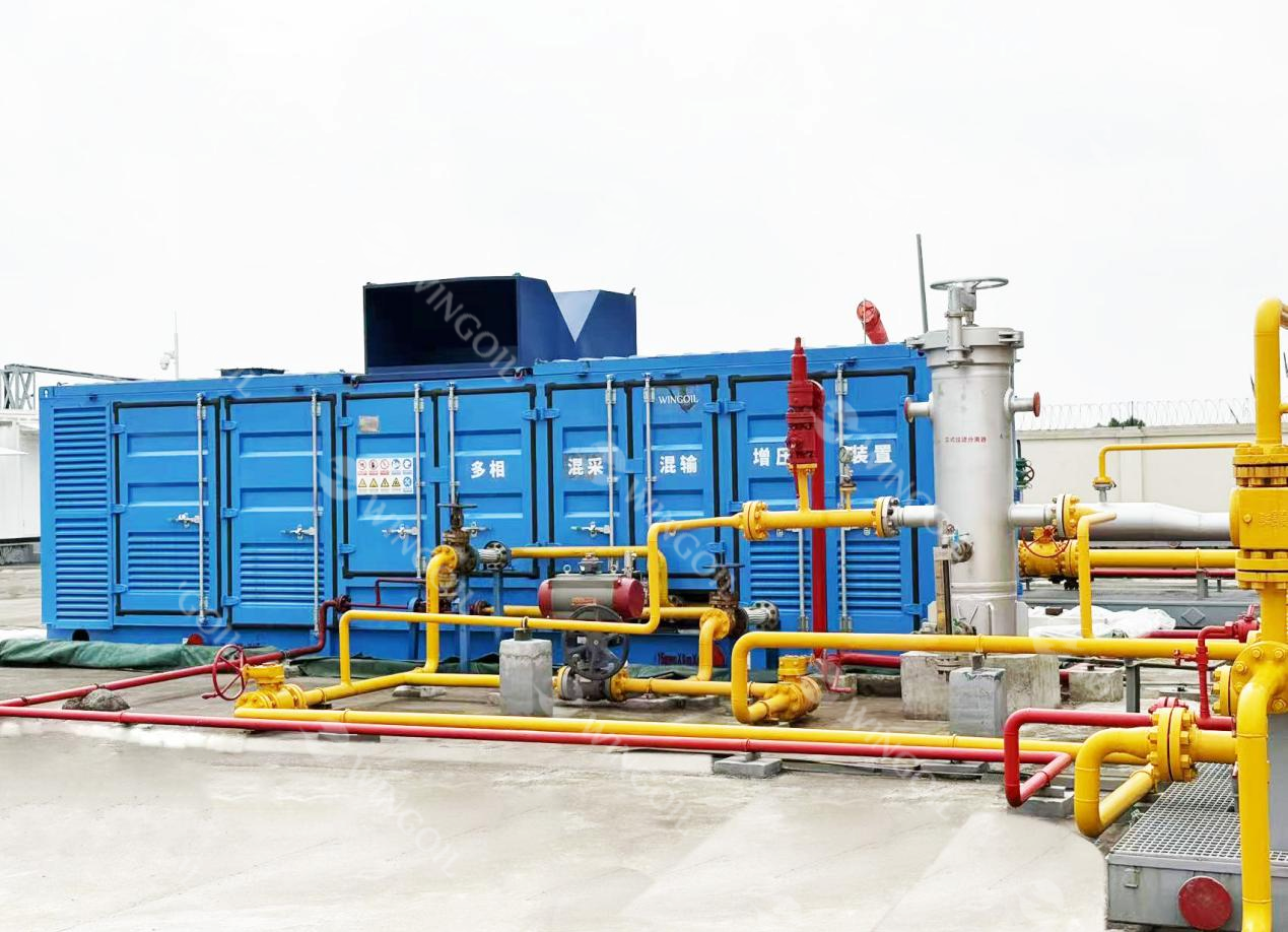 Multiphase Systems Multiphase Pump System | Wingoil