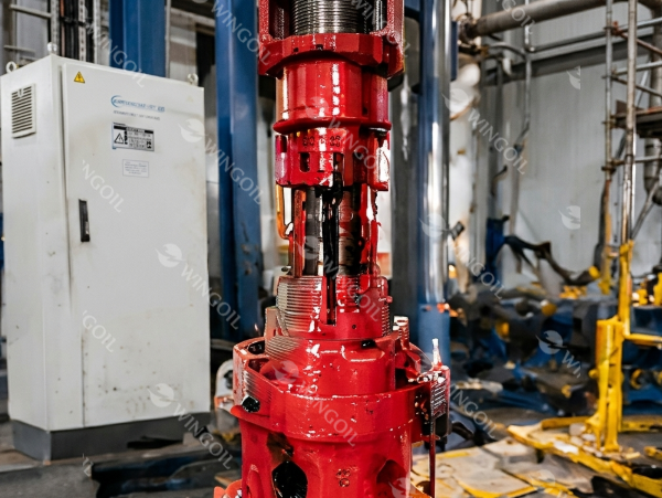 kelly valve testing